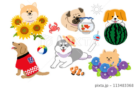 夏の犬イラストセット 夏の犬イラストセット 113483368