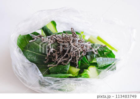 ポリ袋で作る小松菜と塩昆布の浅漬け 113483749