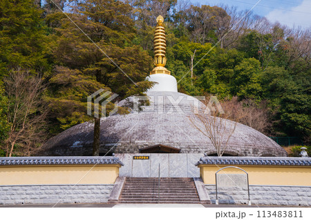 久安寺仏塔 久安寺仏塔 113483811