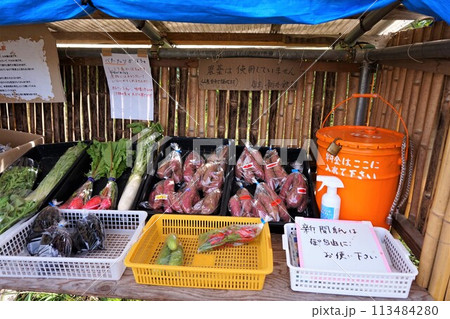 無人販売 野菜 無人販売所 朝採れ 新鮮野菜 無人販売 野菜 無人販売所 朝採れ 新鮮野菜 113484280