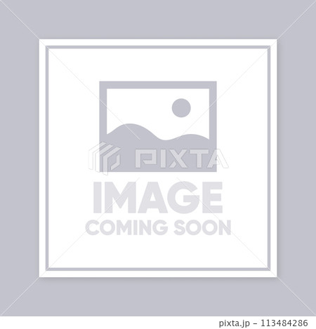 Photo Coming Soon. Picture Frame. No picture image - internet error. Vector illustration. 113484286
