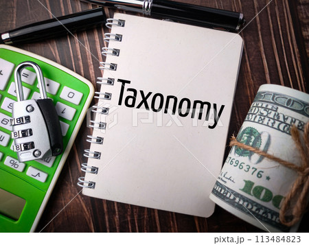 Top view padlock,pen,calculator and banknotes with text Taxonomy on wooden background. 113484823