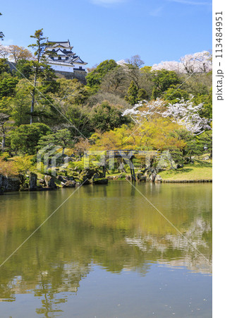 桜咲く彦根城 桜咲く彦根城 113484951