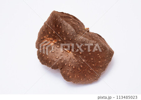 エアーポテト(宇宙いも) エアーポテト(宇宙いも) 113485023