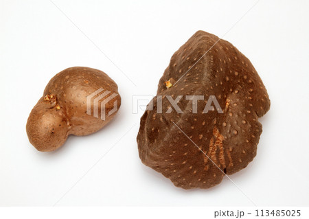 エアーポテト（宇宙いも） 113485025