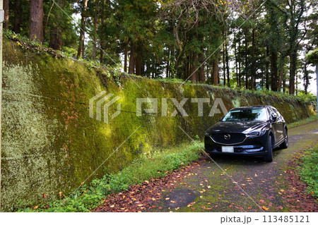 神水ダム　鬼石ダム　群馬県　藤岡市　利根川水系　神流川　神水湖 113485121