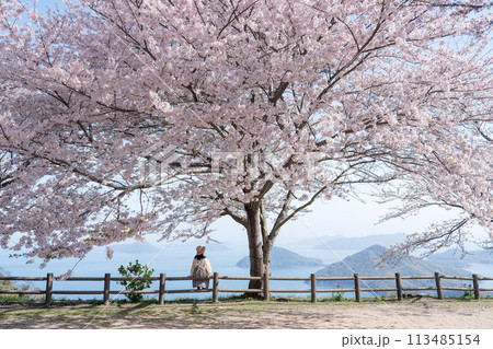 桜満開の紫雲出山と女性の後ろ姿 桜満開の紫雲出山と女性の後ろ姿 113485154