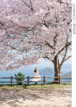桜満開の紫雲出山と女性の後ろ姿 113485157