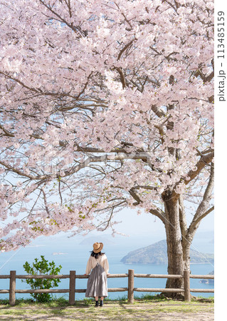 桜満開の紫雲出山と女性の後ろ姿 113485159
