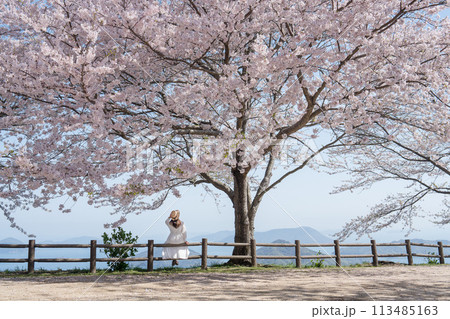 桜満開の紫雲出山と女性の後ろ姿 113485163