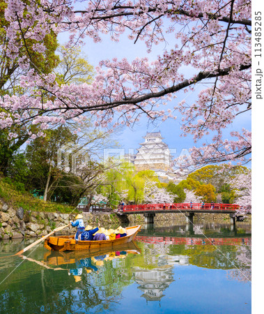 満開の桜と姫路城 満開の桜と姫路城 113485285