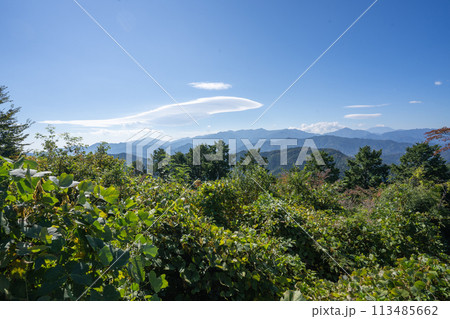 秋の高尾山から眺める遠くの富士山 秋の高尾山から眺める遠くの富士山 113485662