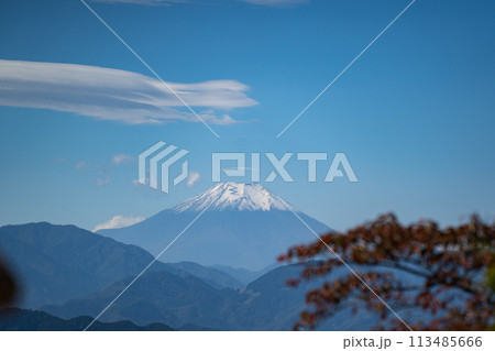 秋の高尾山から眺める遠くの富士山 秋の高尾山から眺める遠くの富士山 113485666