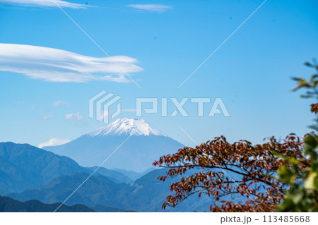 秋の高尾山から見える富士山 113485668