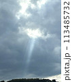 神 113485732