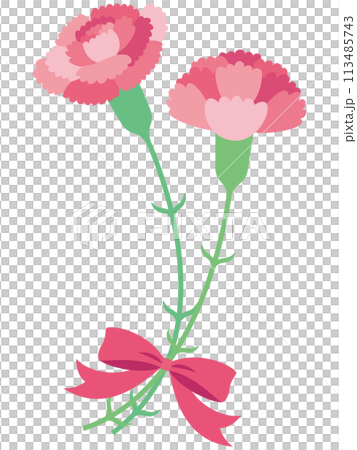 兩個可愛的粉紅色康乃馨和絲帶的插圖 113485743