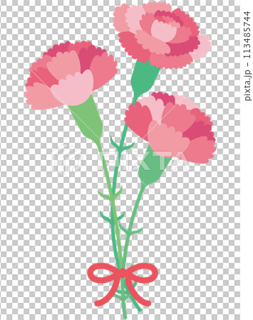 三朵可愛的粉紅色康乃馨和緞帶的插圖 113485744