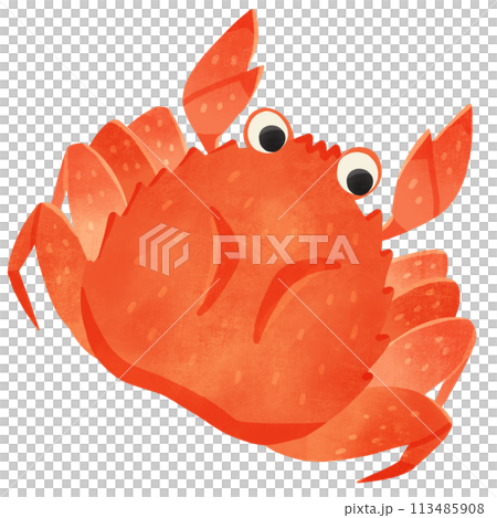 螃蟹手繪插圖 113485908