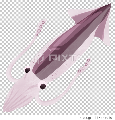 魷魚手繪插畫 113485910