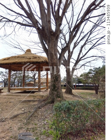 韓国・楽安邑城民俗村にて 韓国・楽安邑城民俗村にて 113485939