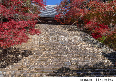 秋の京都高雄　神護寺　紅葉に包まれた金堂と石段 113486163