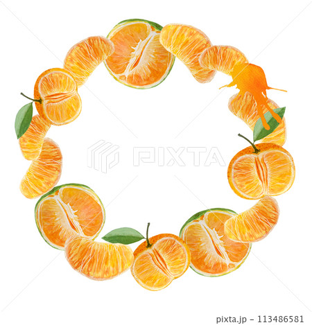 Orange tangerine slice and color splash watercolor wreath isolated on white background, hand drawn for food design. Packages, restaurant and cafe menu, natural organic food, cards, label, logo decor 113486581