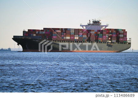 大井コンテナ埠頭に接岸する大型コンテナ船/全景（NYK VEGA） 113486689
