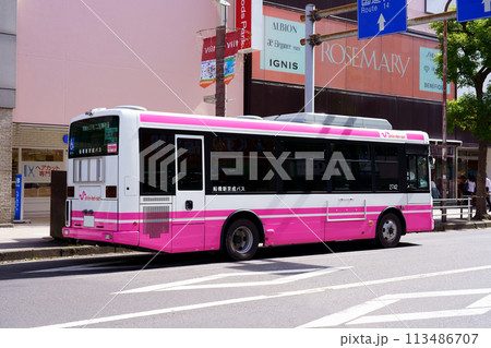 新京成グループデザインとなった新京成バスの車両/背面(いすゞエルガ) 新京成グループデザインとなった新京成バスの車両/背面(いすゞエルガ) 113486707