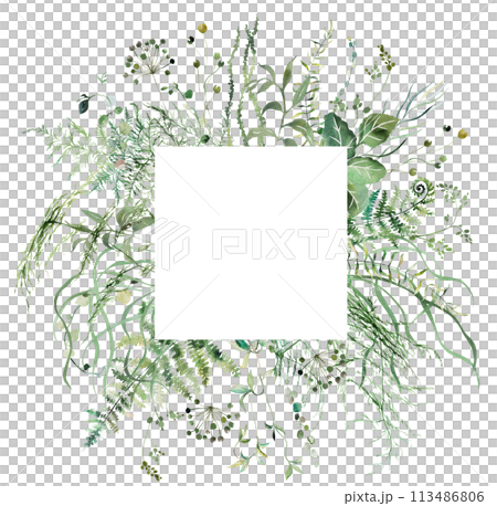 Square frame with Watercolor fern twigs with green leaves isolated illustration, botanical wedding 113486806