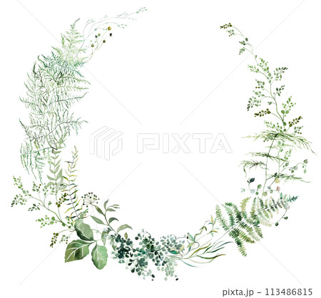 Round frame with Watercolor fern twigs with green leaves isolated illustration, botanical wedding 113486815