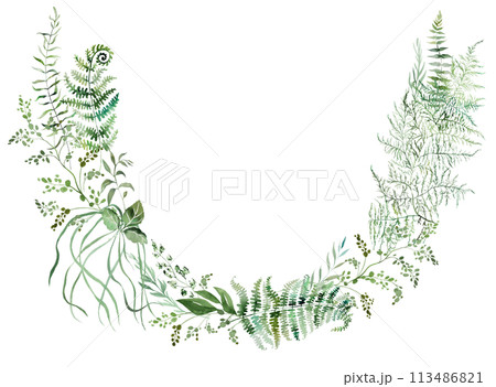 Round wreath with Watercolor fern twigs with green leaves isolated illustration, botanical wedding 113486821