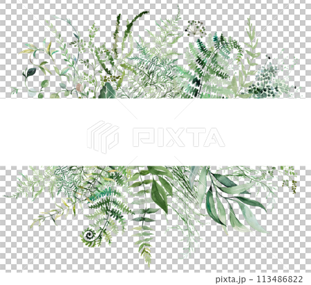 Frame with Watercolor fern twigs with green leaves isolated illustration, botanical wedding Frame with Watercolor fern twigs with green leaves isolated illustration, botanical wedding 113486822