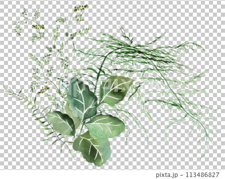 Bouquet with Watercolor fern twigs with green leaves isolated illustration, botanical wedding Bouquet with Watercolor fern twigs with green leaves isolated illustration, botanical wedding 113486827