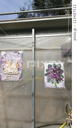 フランス Tourrettes-sur-Loup トゥレット・シュル・ルー すみれ畑 113487512