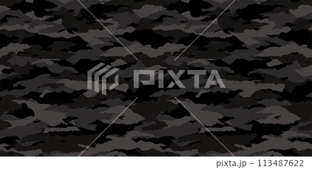 迷彩パターン　シームレス　背景素材 113487622