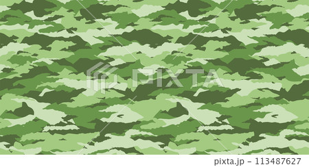 迷彩パターン　シームレス　背景素材 113487627