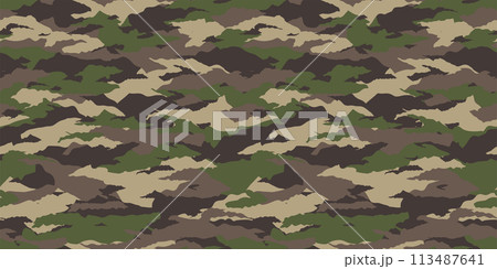 迷彩パターン　シームレス　背景素材 113487641