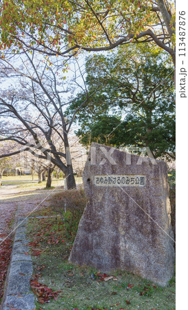 【千葉県千葉市】おゆみ野はるのみち公園と桜 【千葉県千葉市】おゆみ野はるのみち公園と桜 113487876