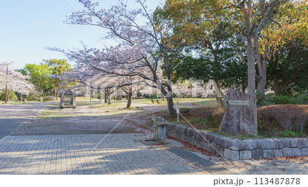 【千葉県千葉市】おゆみ野はるのみち公園と桜 【千葉県千葉市】おゆみ野はるのみち公園と桜 113487878