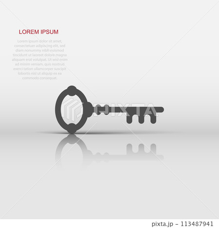 Key icon in flat style. Access login vector illustration on white isolated background. Password key business concept. 113487941