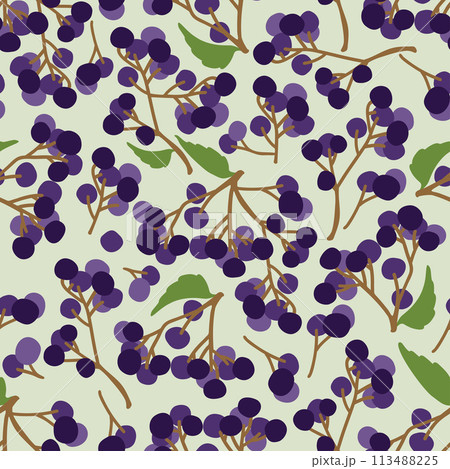 Seamless pattern with elderberry black. branch of elderberry , berries and leaves. Vector hand drawn illustration. Seamless pattern with elderberry black. branch of elderberry , berries and leaves. Vector hand drawn illustration. 113488225