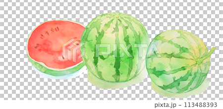 Watermelon Watercolor illustration of watermelon Summer Fruits Cutout 113488393