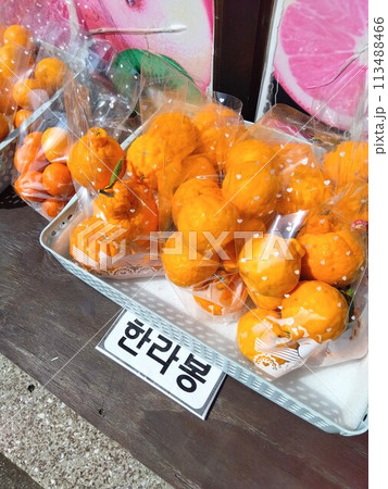 韓国・済州島の特産物ハルラボン 113488466