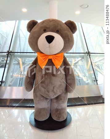 韓国・済州島のテディベアミュージアム 113488476
