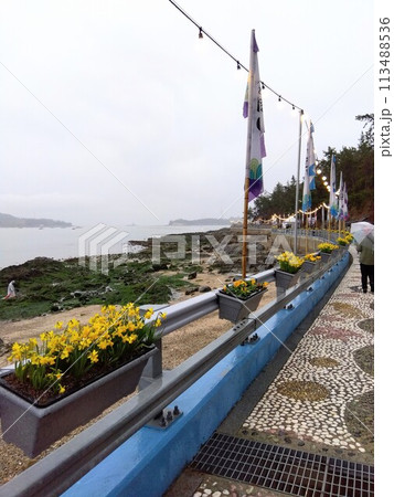 韓国・珍島の海割れ祭り 113488536