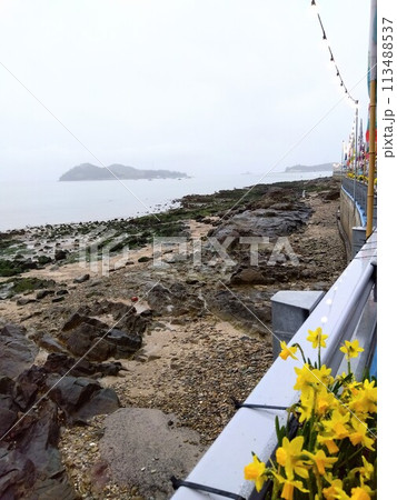 韓国・珍島の海割れ祭り 113488537