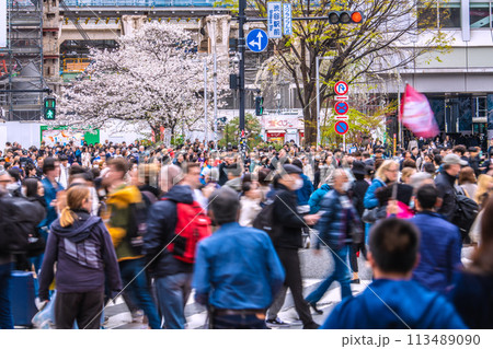 日本の東京都市景観 インバウンド…まるで外国…外国人観光客で大賑わいの渋谷…桜も満開=4月5日 日本の東京都市景観 インバウンド…まるで外国…外国人観光客で大賑わいの渋谷…桜も満開=4月5日 113489090