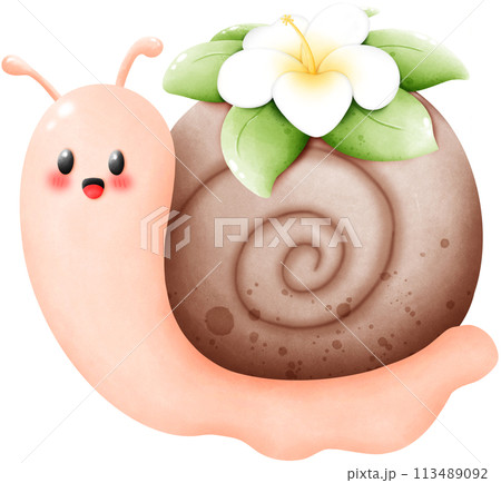 Snail and frangipani flower Snail and frangipani flower 113489092