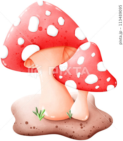 Mushrooms that grow naturally 113489095