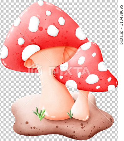 Mushrooms that grow naturally 113489095